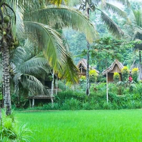 Tereng Wilis Bungalows Тетебату Экстерьер фото