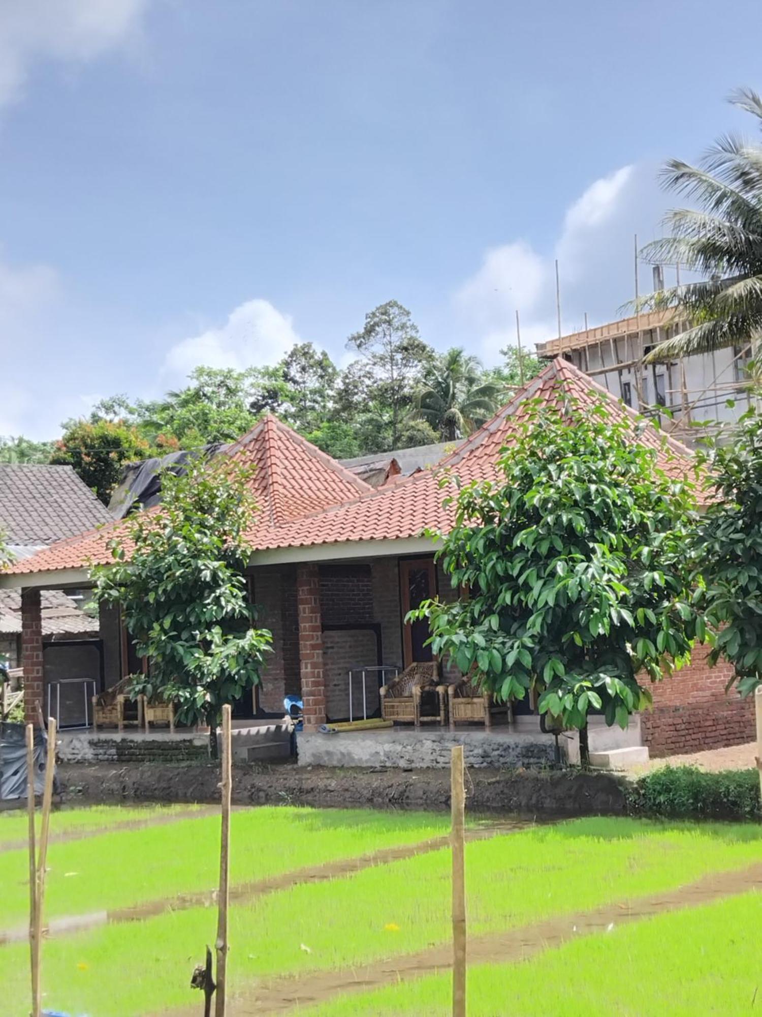 Tereng Wilis Bungalows Тетебату Номер фото
