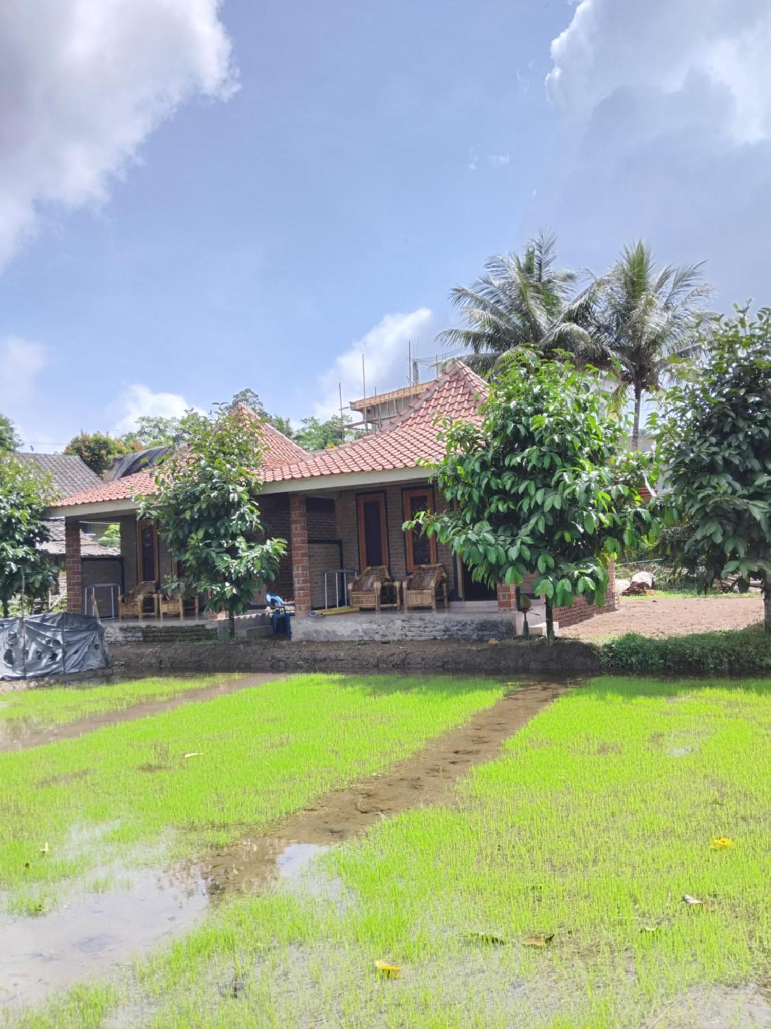 Tereng Wilis Bungalows Тетебату Экстерьер фото