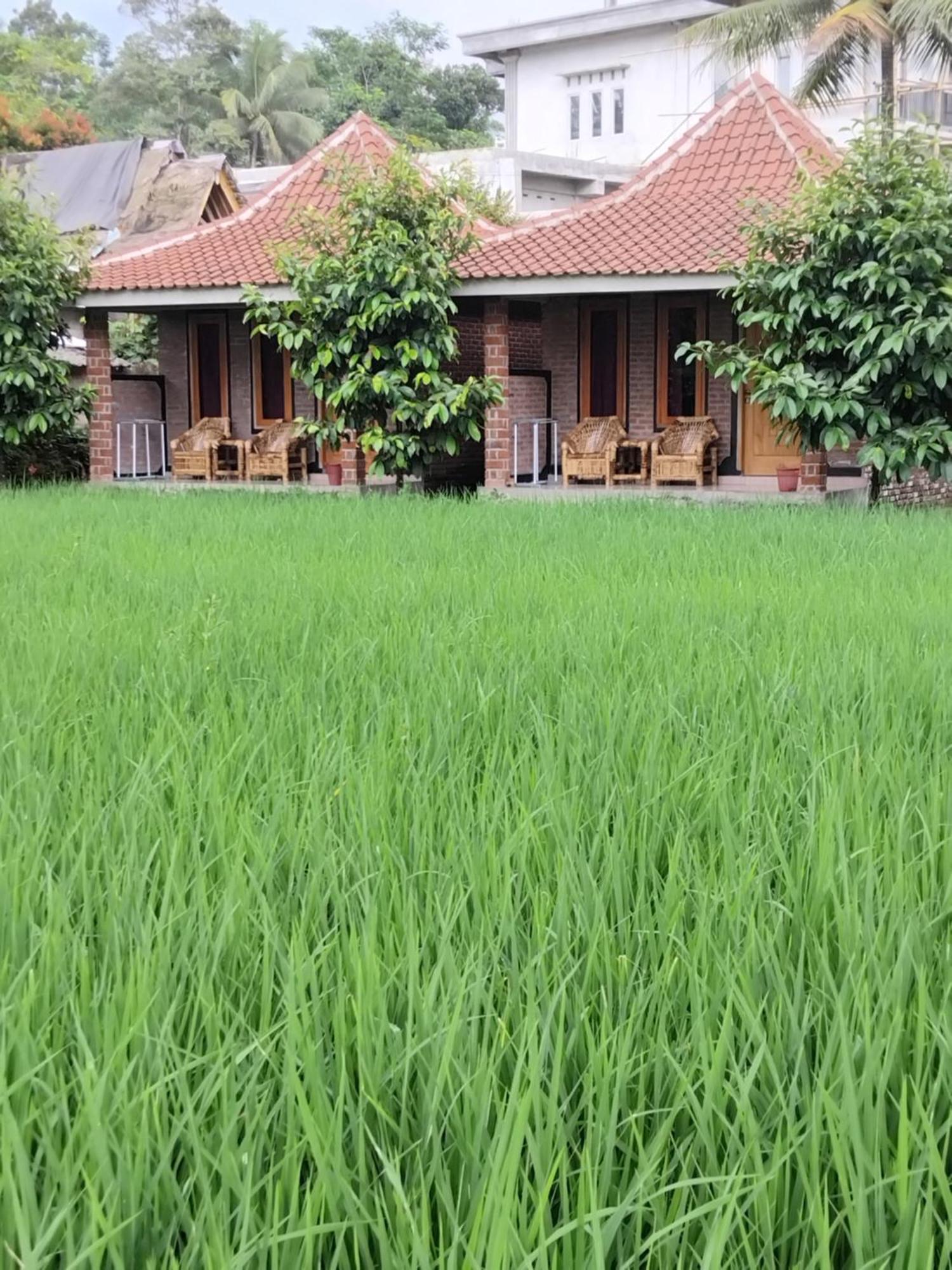 Tereng Wilis Bungalows Тетебату Экстерьер фото